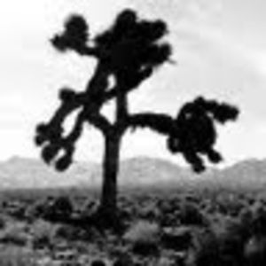 Meet your Posher, Anirvan